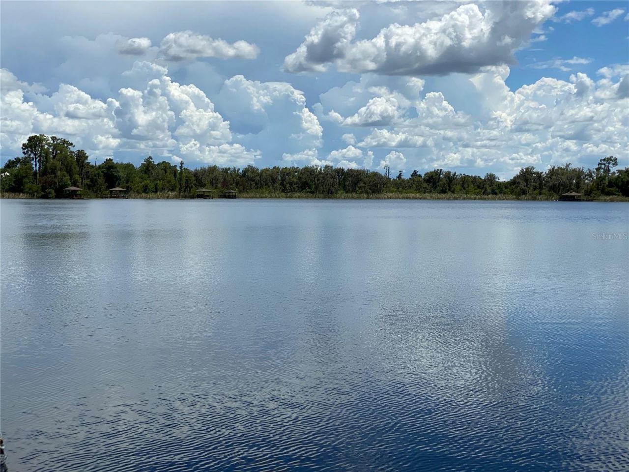 21430 Draycott Way, Land O Lakes, FL 34637 Photo