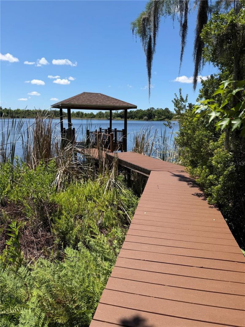 21430 Draycott Way, Land O Lakes, FL 34637 Photo