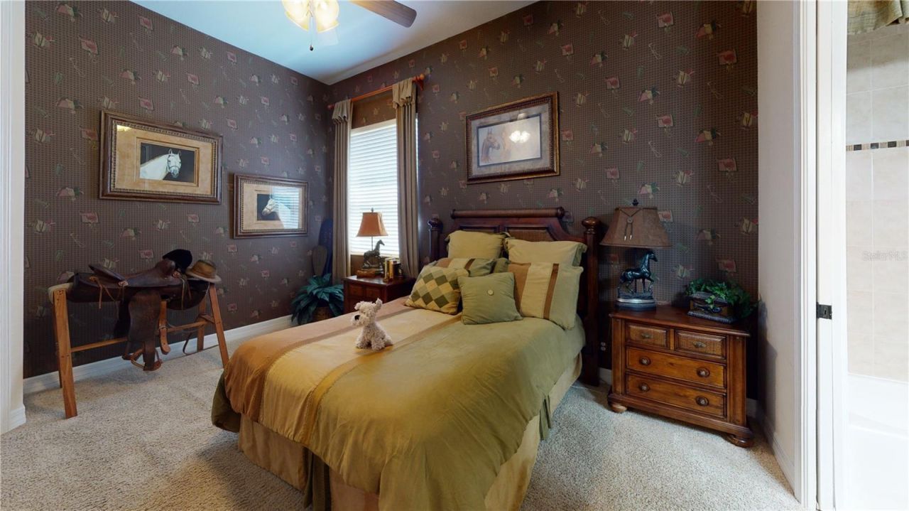 21430 Draycott Way, Land O Lakes, FL 34637 Photo