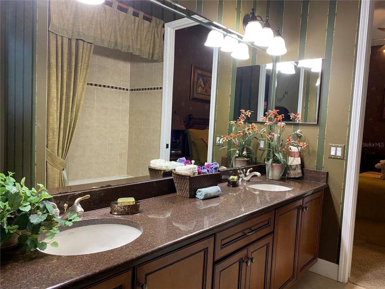 21430 Draycott Way, Land O Lakes, FL 34637 Photo