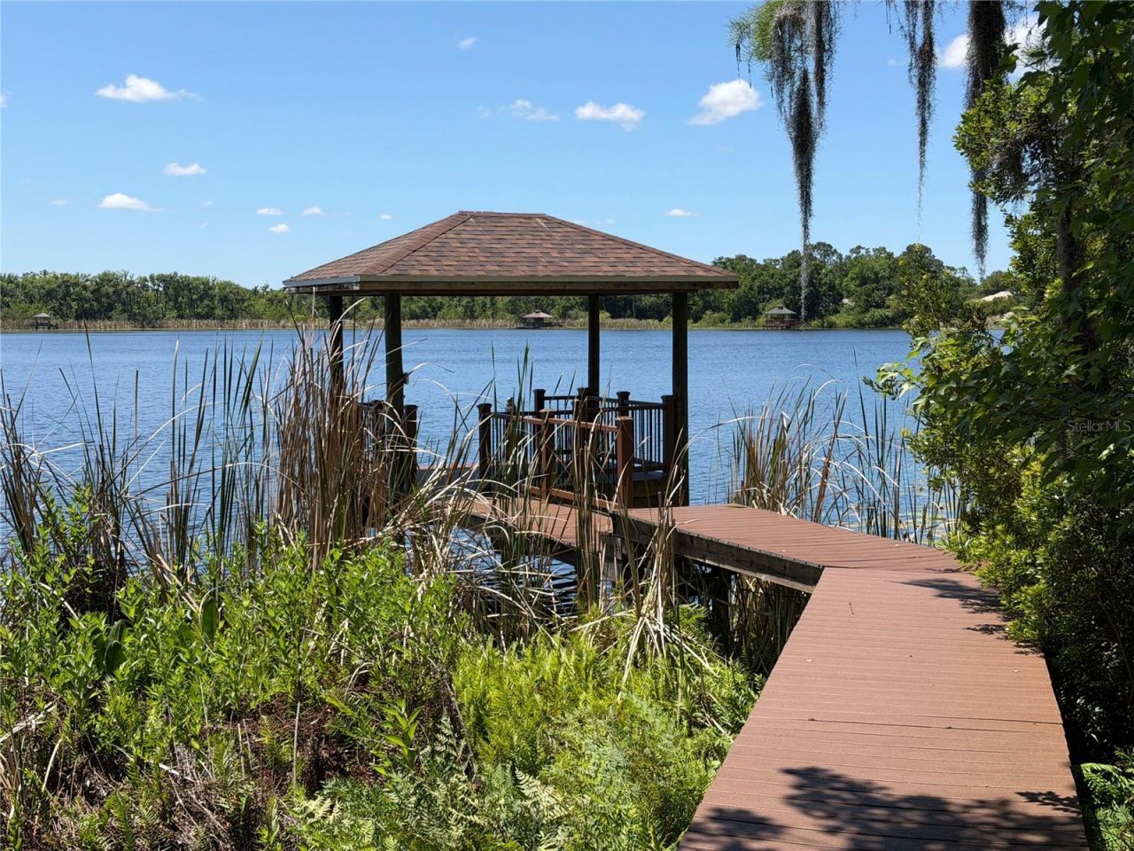 21430 Draycott Way, Land O Lakes, FL 34637 Photo