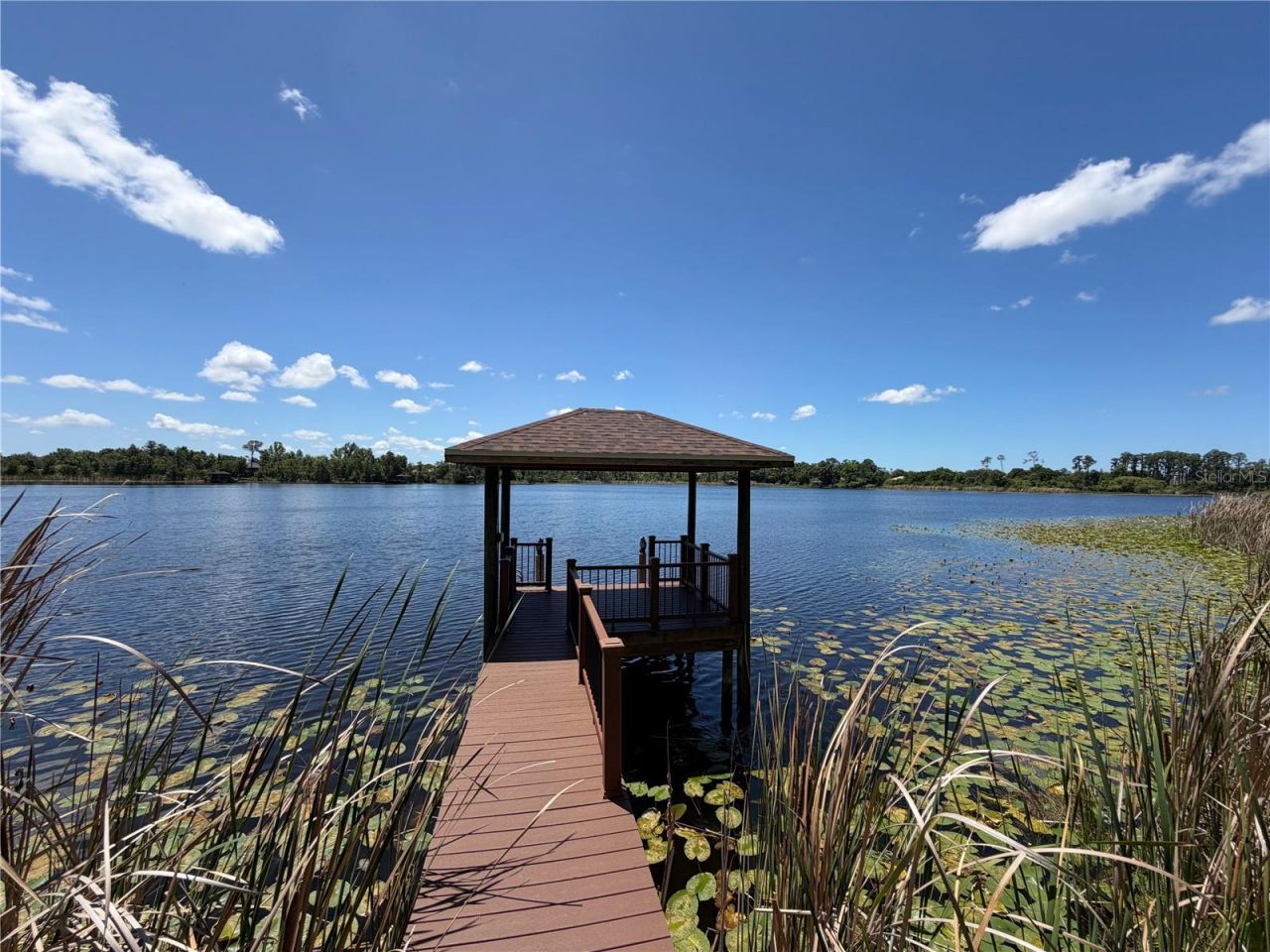 21430 Draycott Way, Land O Lakes, FL 34637 Photo