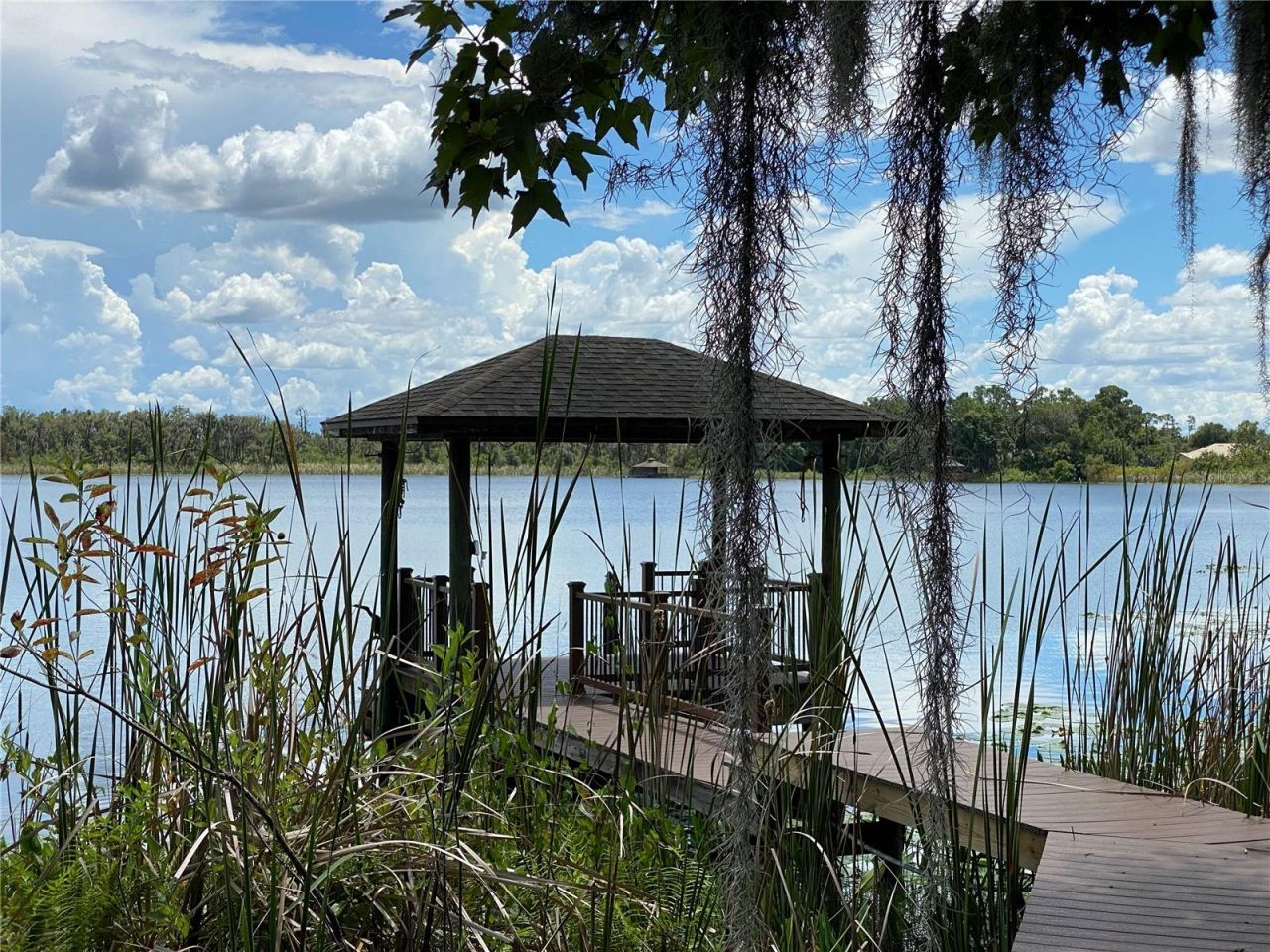 21430 Draycott Way, Land O Lakes, FL 34637 Photo