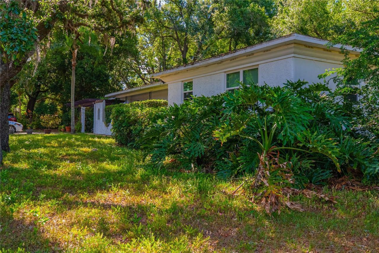 401 Bullard Parkway , Temple Terrace, FL 33617 Photo