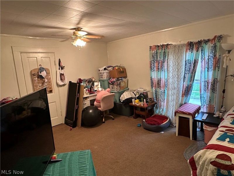 410 W Emerald Street, Willard, OH 44890 Photo 33