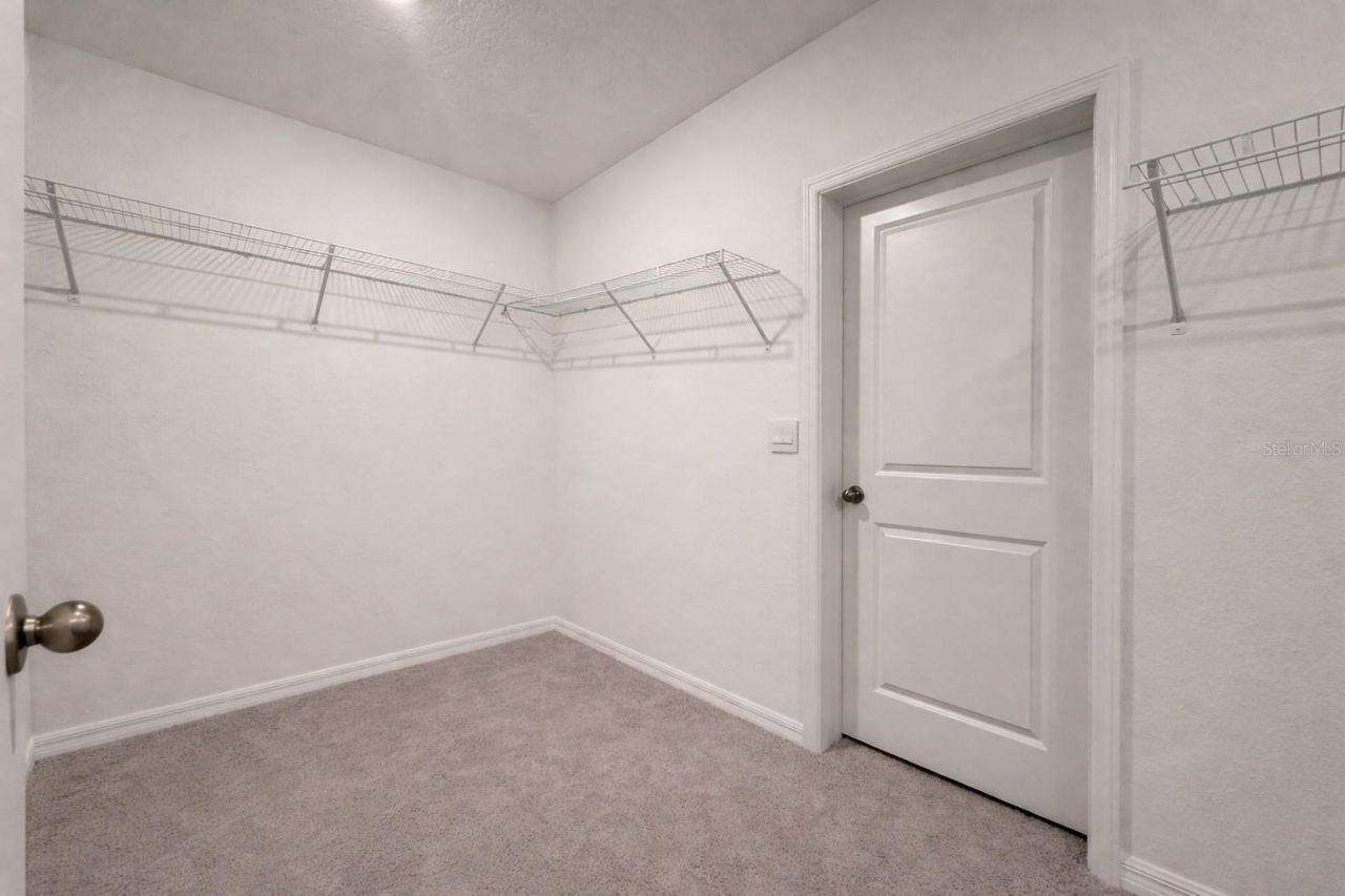 33546 Darley Dale Trail, Wesley Chapel, FL 33545 Photo