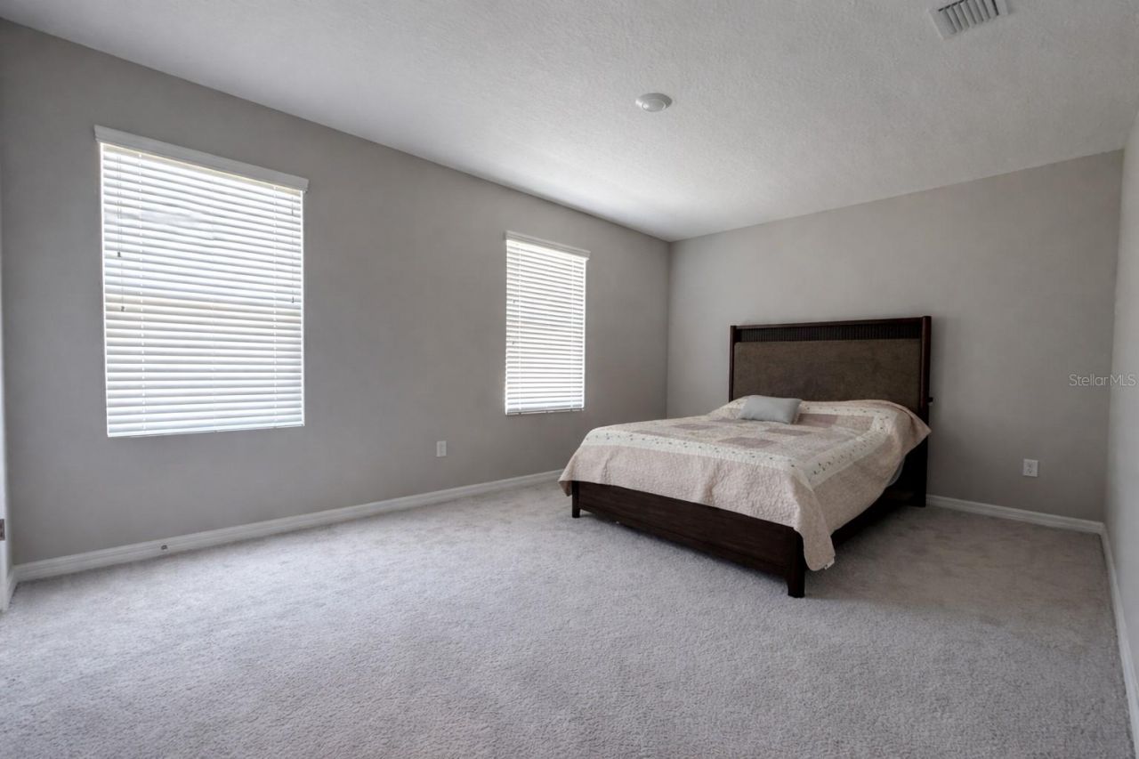 33546 Darley Dale Trail, Wesley Chapel, FL 33545 Photo