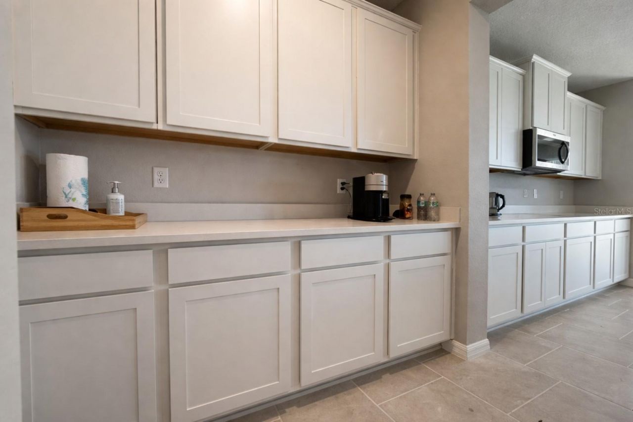 33546 Darley Dale Trail, Wesley Chapel, FL 33545 Photo