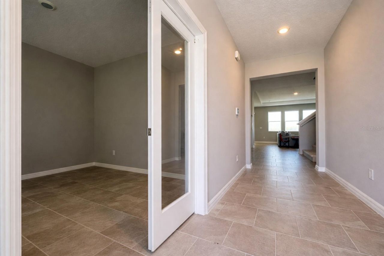 33546 Darley Dale Trail, Wesley Chapel, FL 33545 Photo
