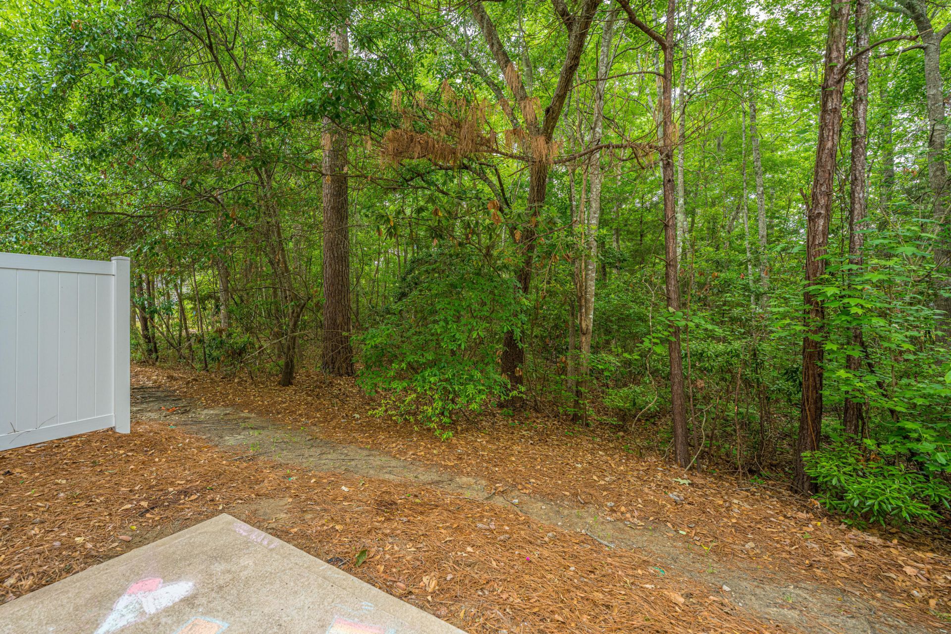 4977 Hay Bale Court Photo 22
