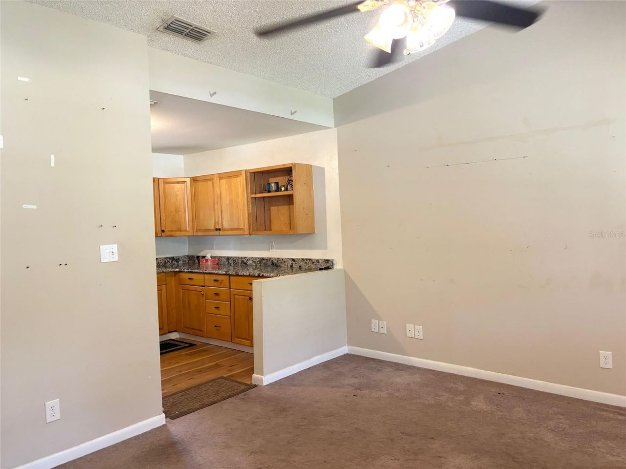333 Riviera Drive, Crescent City, FL 32112 Photo