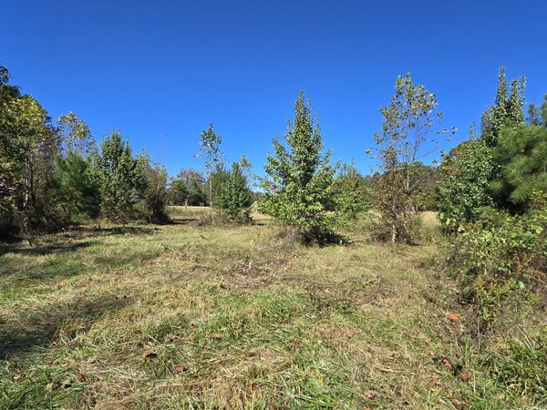 0 Fox Bridge Road, Chatsworth, GA 30705