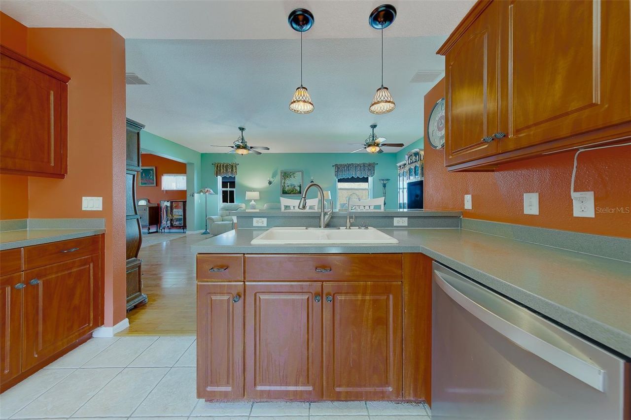 10036 Brookdale Drive, New Port Richey, FL 34655 Photo