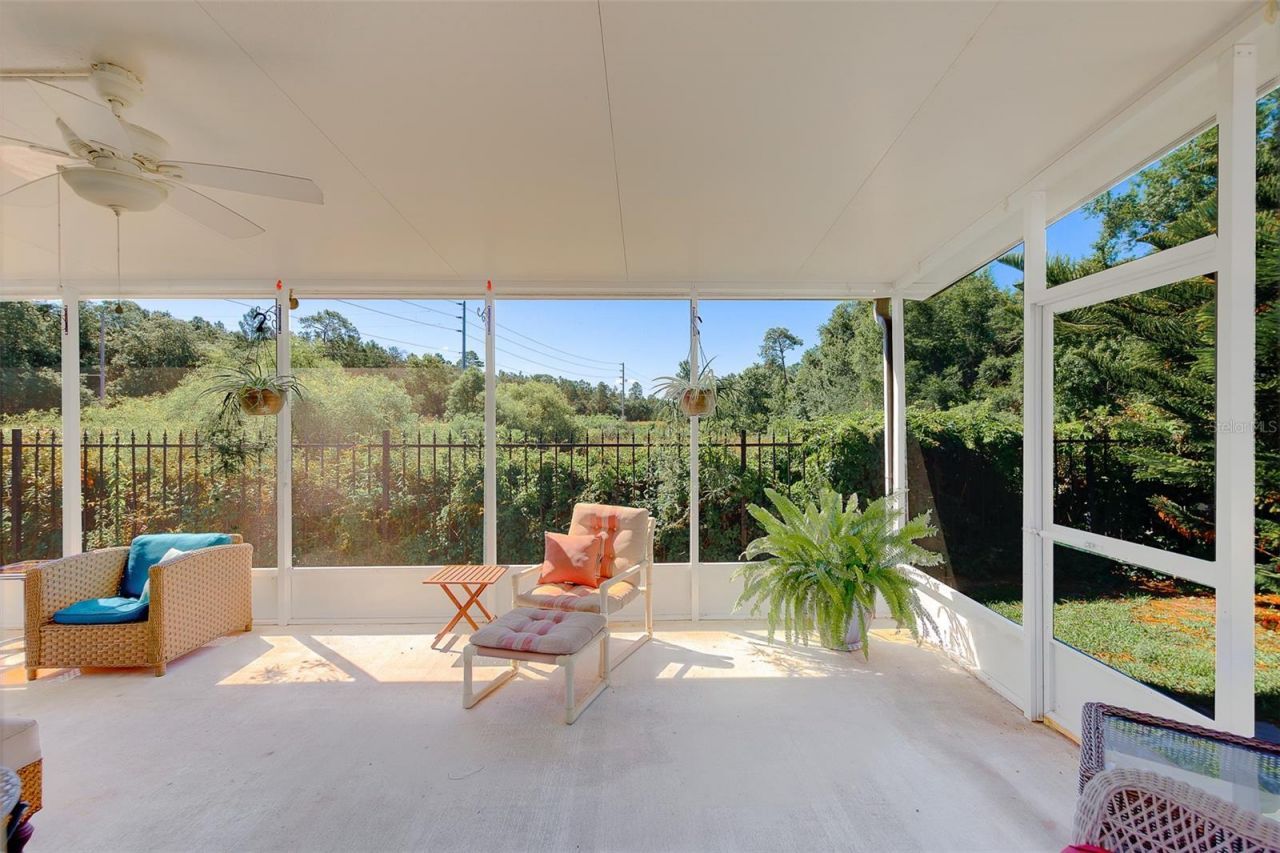 10036 Brookdale Drive, New Port Richey, FL 34655 Photo