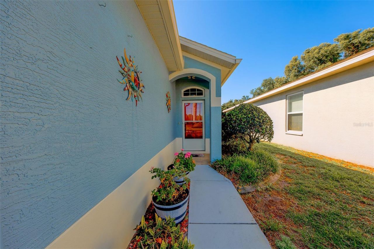 10036 Brookdale Drive, New Port Richey, FL 34655 Photo