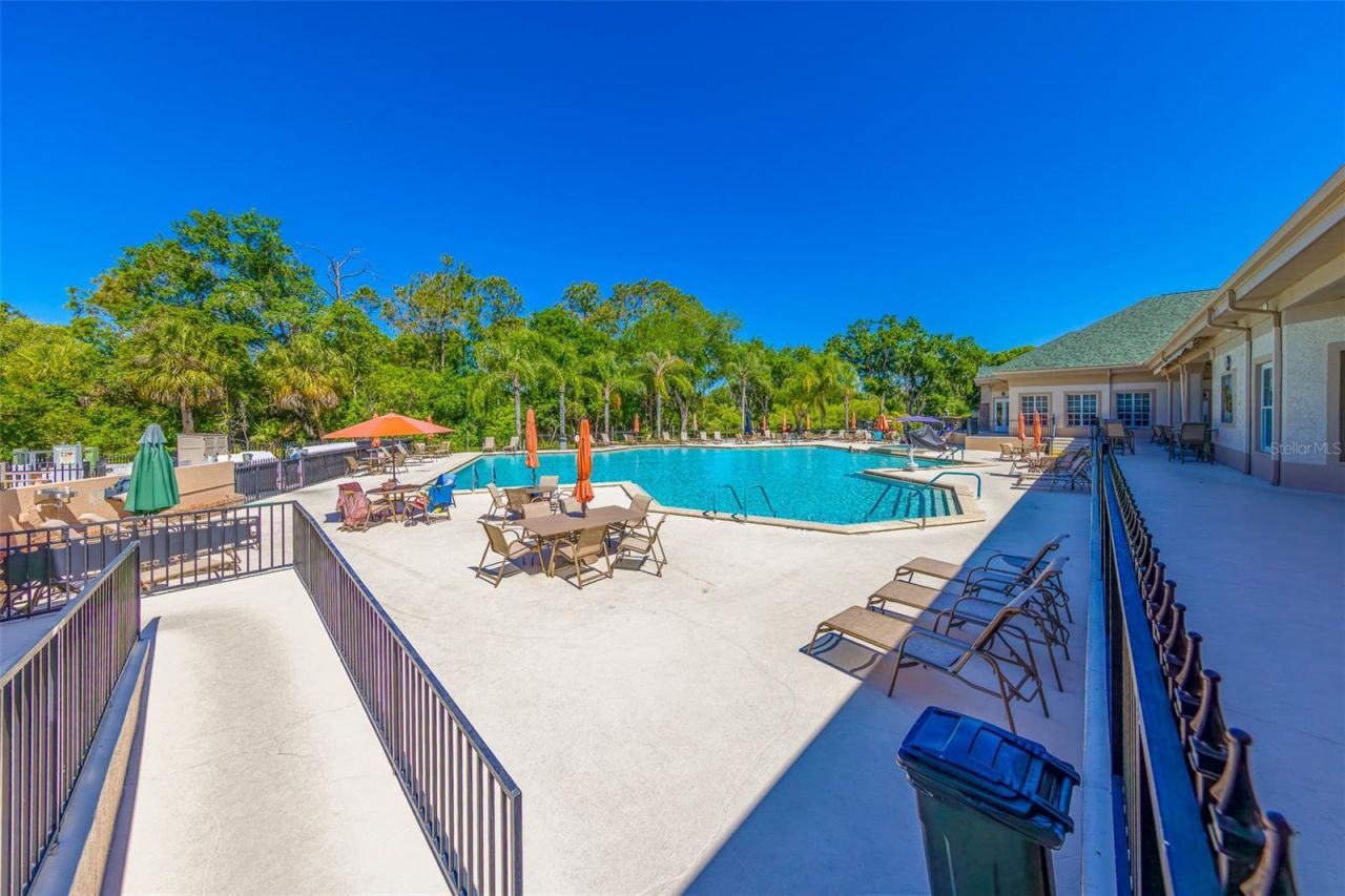 10036 Brookdale Drive, New Port Richey, FL 34655 Photo
