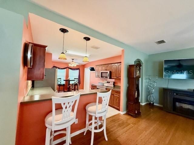 10036 Brookdale Drive, New Port Richey, FL 34655 Photo