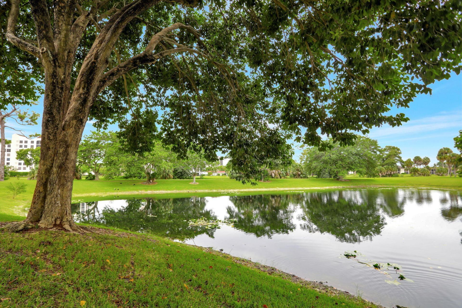 7472 La Paz Boulevard, Unit 302, Boca Raton, FL 33433 Photo