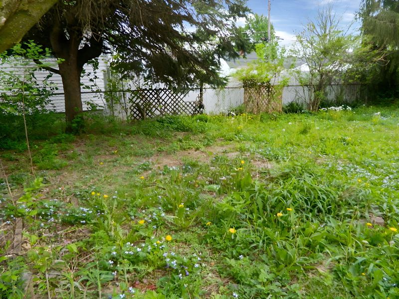 2037 Studer Avenue, Columbus, OH 43207 Photo 4