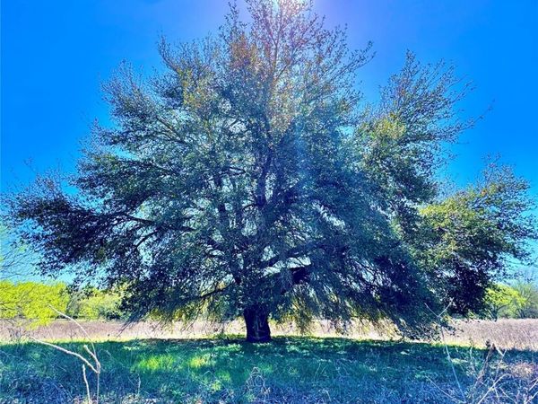 3775 Baker RD, Kingsbury, TX 78638