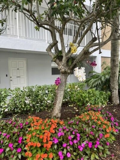 3010 N Course Drive, Unit 312, Pompano Beach, FL 33069 Photo