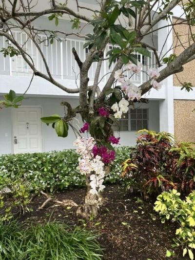 3010 N Course Drive, Unit 312, Pompano Beach, FL 33069 Photo