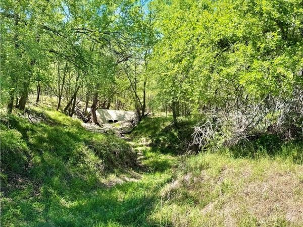 3775 BAKER Road , Kingsbury, TX 78638