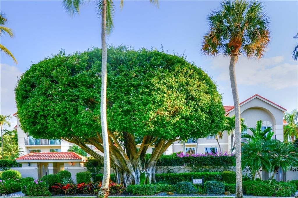 430 10th Ave S, Unit 305, Naples, FL 34102 Photo