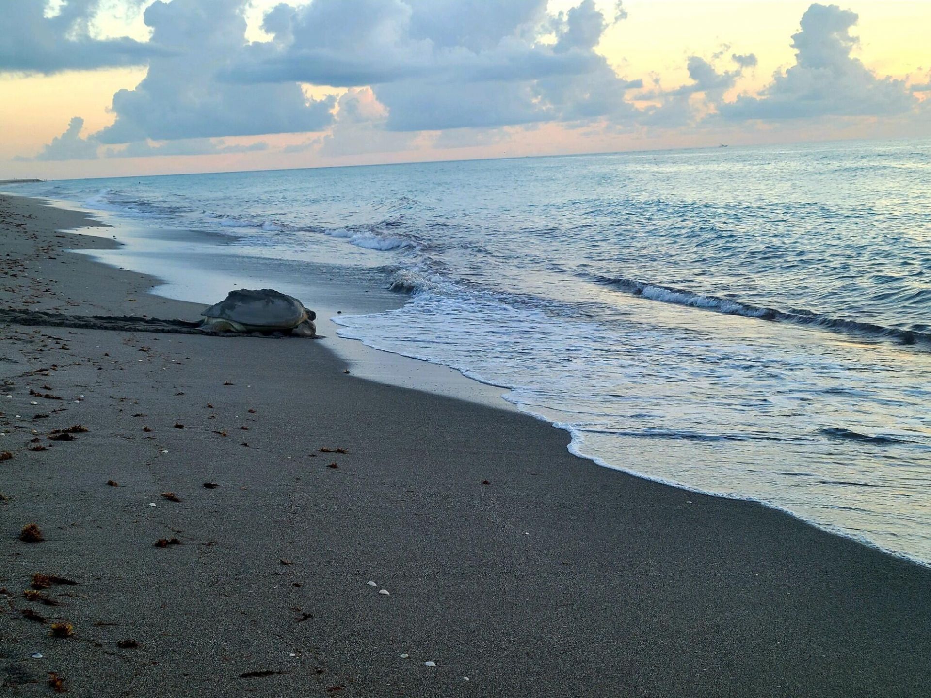 717 S Us Hwy 1, Unit 804, Jupiter, FL 33477 Photo