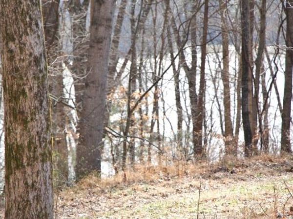 Lots 26 & 27 Cherokee Road , Lucas, KY 42156
