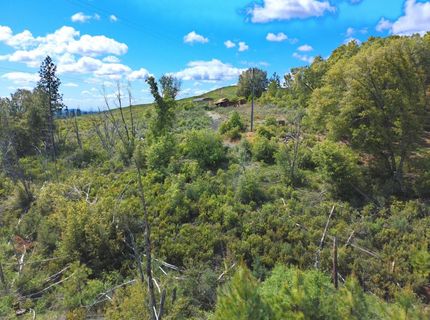 18088 Vista Way, Mokelumne Hill, CA 95245 Photo