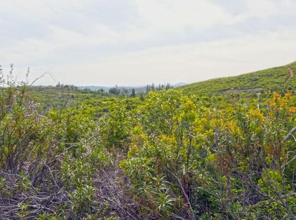 18088 Vista Way, Mokelumne Hill, CA 95245 Photo