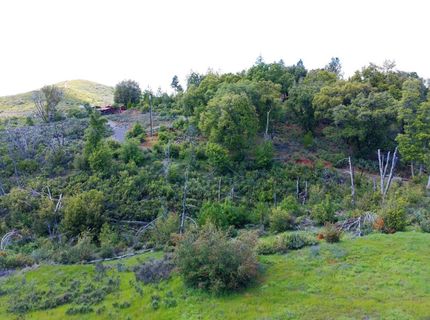 18088 Vista Way, Mokelumne Hill, CA 95245 Photo