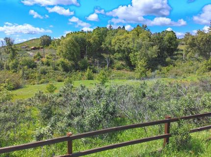 18088 Vista Way, Mokelumne Hill, CA 95245 Photo