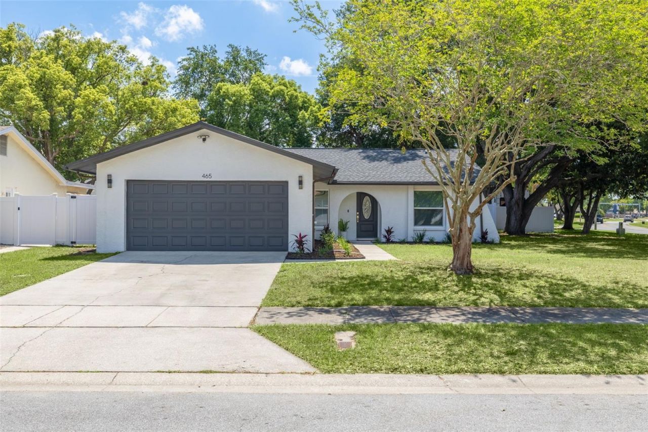 465 Belmist Court, Dunedin, FL 34698 Main Photo