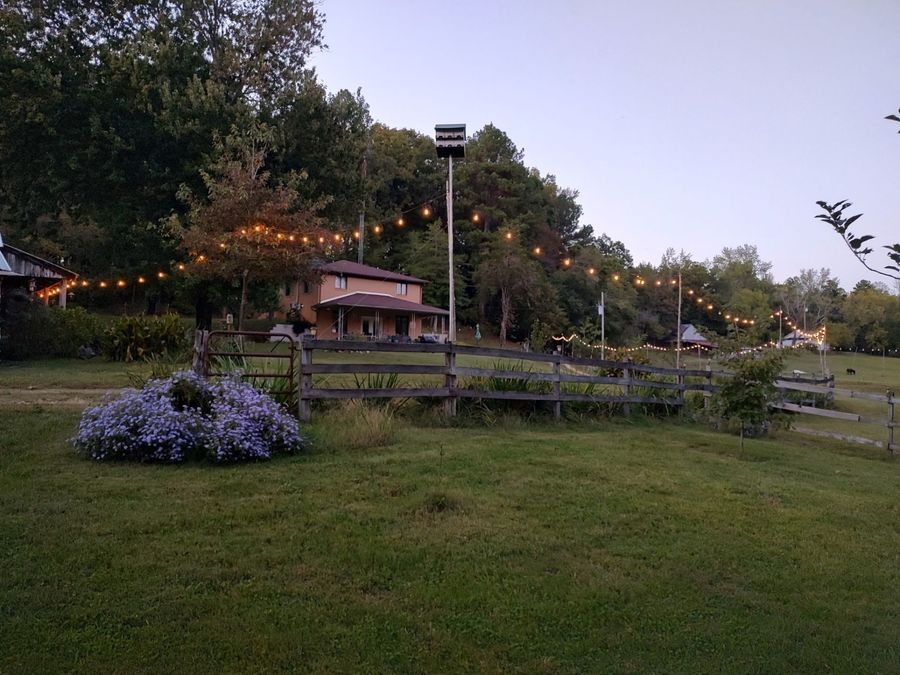 Property Image 58