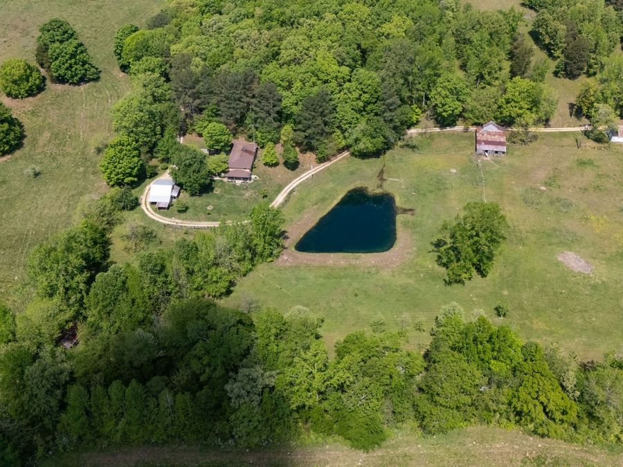 Property Image 60