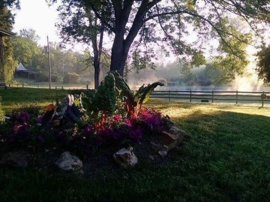 Property Image 71