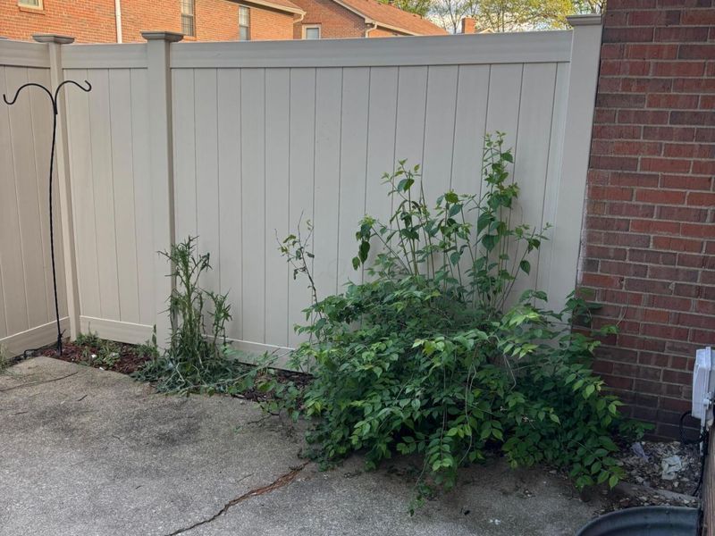 7970 Trellage Court , Unit 15, Powell, OH 43065 Photo 15