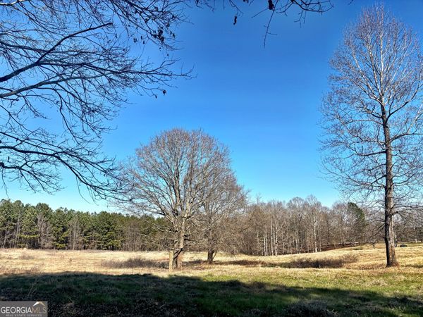 0 Torbet Road, Juliette, GA 31046