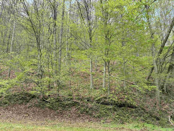 Donithan Rd , Louisa, KY 41230