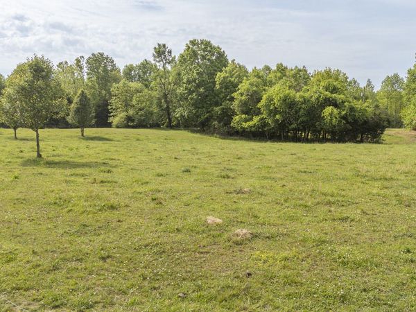 175 Chickasaw Cv , Waynesboro, TN 38485