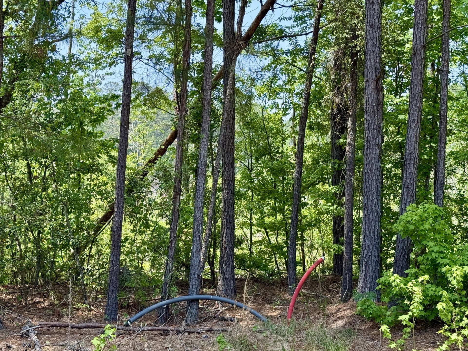 337 Weathers Farm Road Photo 53