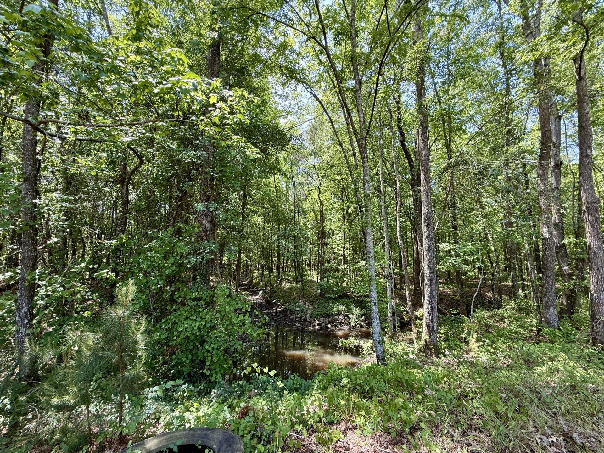 337 Weathers Farm Road Photo 54