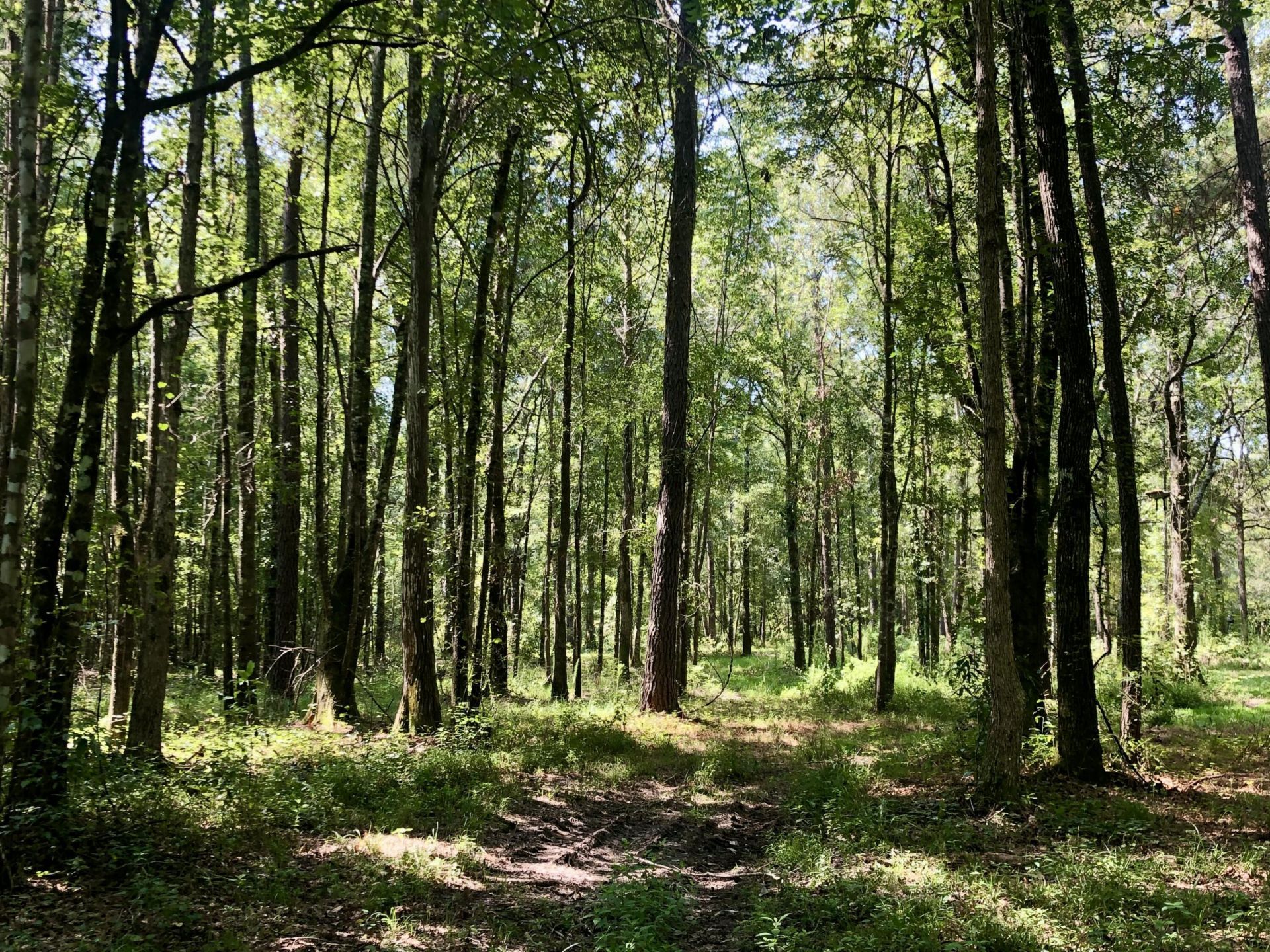 337 Weathers Farm Road Photo 56