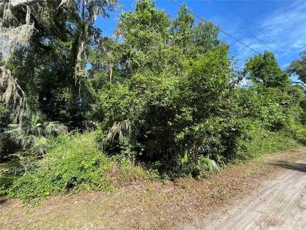 NE 37TH TERRACE , CITRA, FL 32113