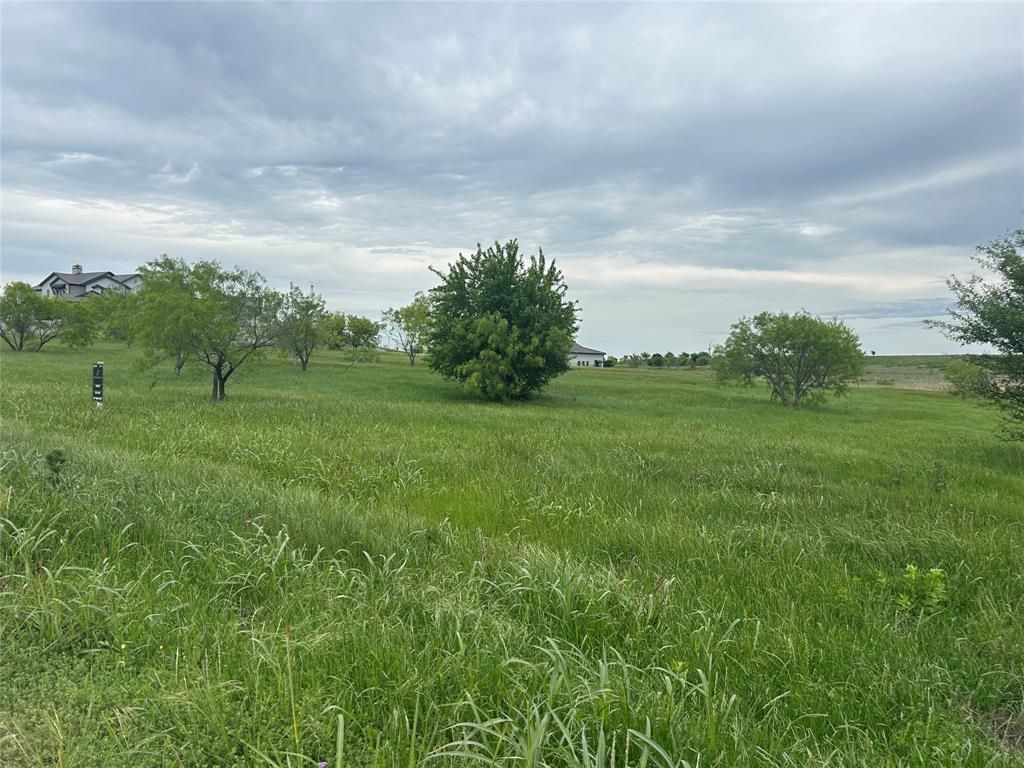 2059 Hidden Bluff Drive, Aledo, TX 76008 Main Photo
