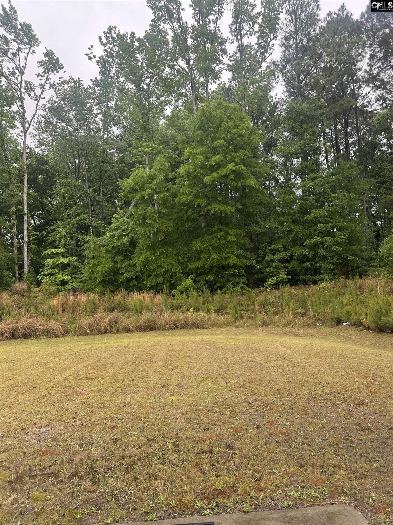 2447 Newberry Landing Circle  Photo 10