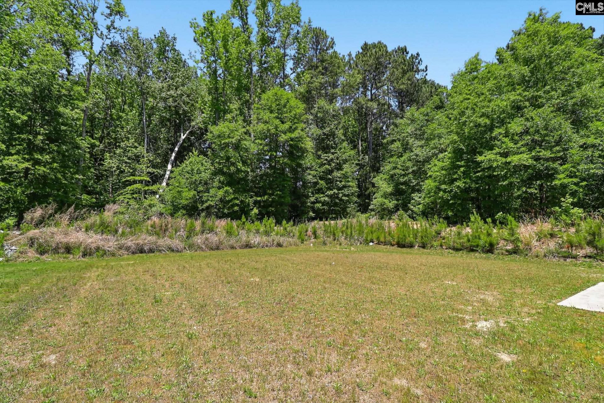 2447 Newberry Landing Circle Photo 28
