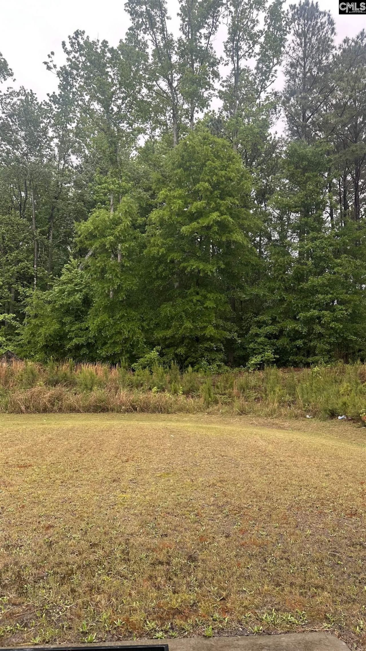 2447 Newberry Landing Circle  Photo 9
